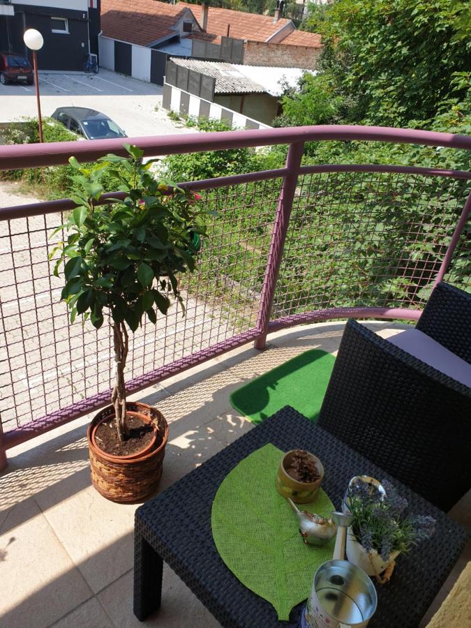Lux Apartman Cacak Ngoại thất bức ảnh